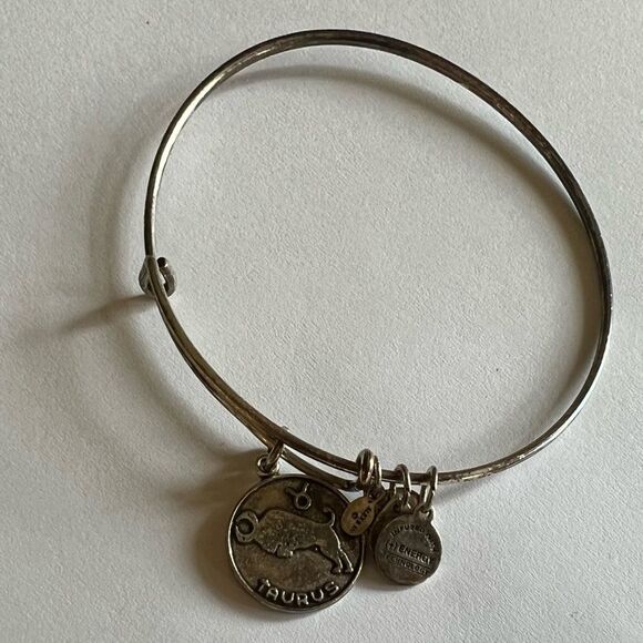 Alex and Ani Taurus Charm Rafaelian Silver Bangle Bracelet - Picture 14 of 15
